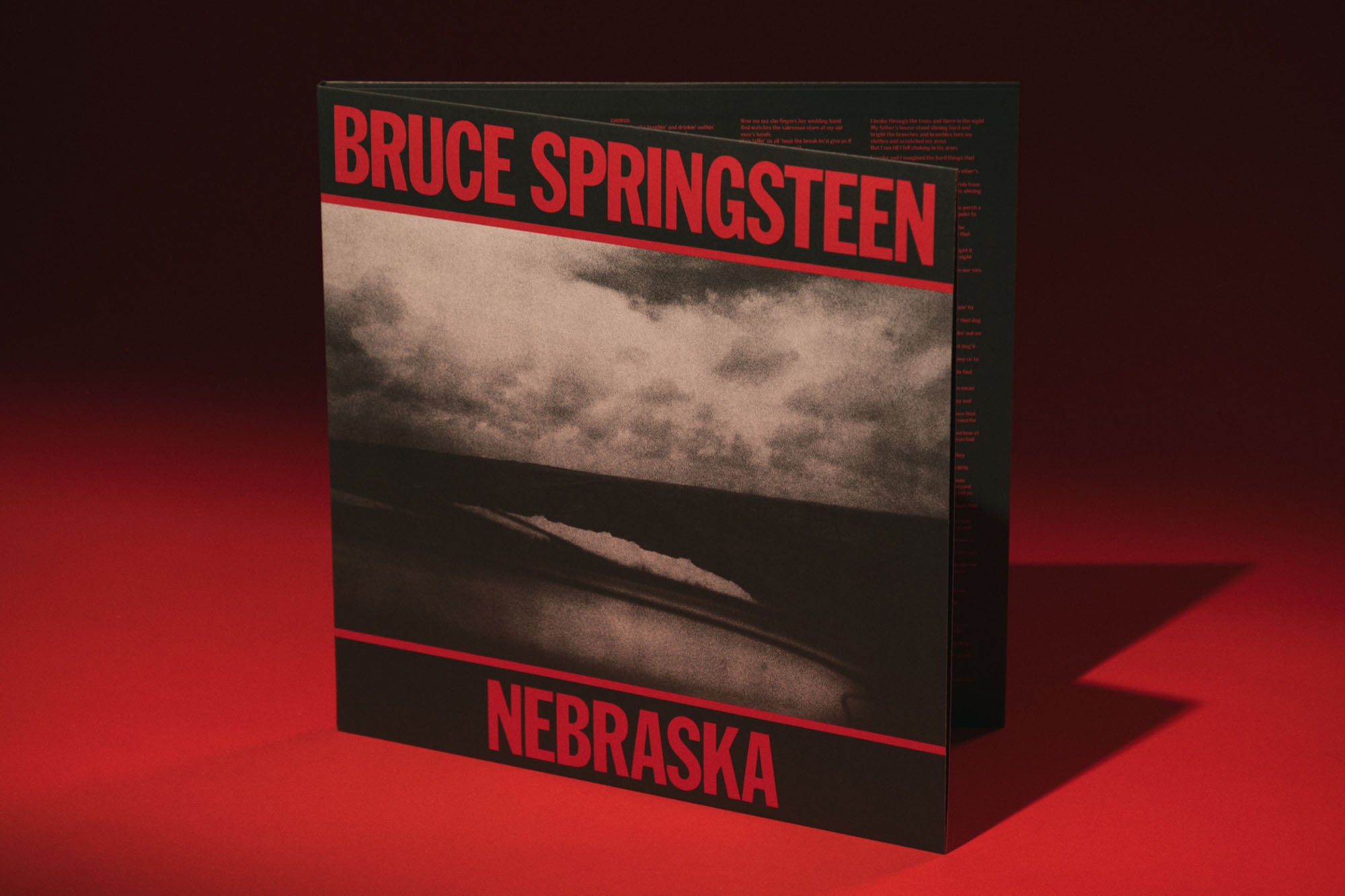 Bruce Springsteen 'Nebraska' - Vinyl Me, Please